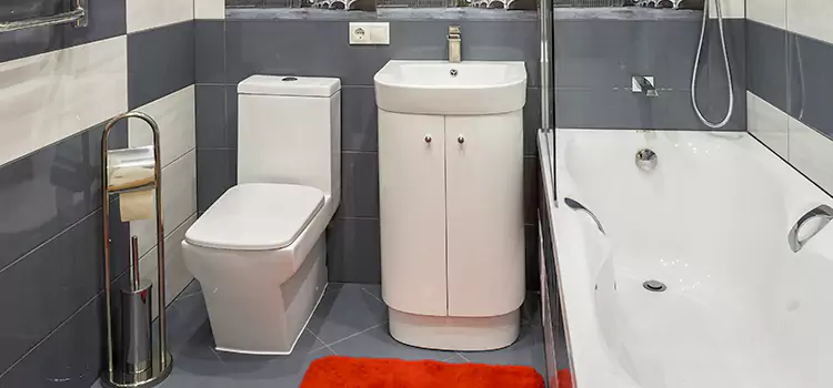 Hansgrohe Shaving Mirror Charlottesville