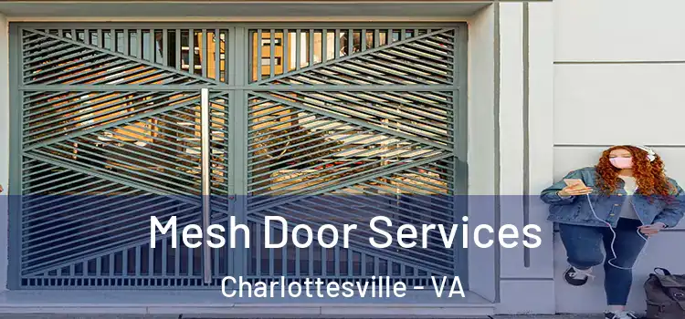 Mesh Door Services Charlottesville - VA
